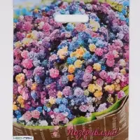 Пакет "Райский букет, полиэтиленовый с вырубной ручкой 30х40 см, 60 мкм Пакет "Райский букет, полиэтиленовый с вырубной ручкой 30х40 см, 60 мкм