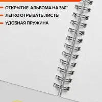 Альбом для рисования Hatber &laquo;Милые котята&raquo; А4, 24 листа, на гребне, перфорация углов, плотность листов 100 г/м&sup2;, обложка из мелованного картона, МИК...