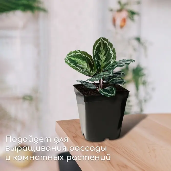 Горшок для рассады, 3 л, d=16 см, h=16 см, чёрный, Greengo Горшок для рассады, 3 л, d=16 см, h=16 см, чёрный, Greengo