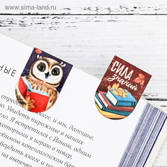Закладки магнитные для книг, 8 шт. &laquo;Время учиться&raquo;, 15&times;15 см