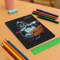 Дневник школьный для 1-11 классов, Street Sport, твёрдая обложка 7БЦ, матовая ламинация, тиснение фольгой, 40 листов