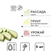 Семена Кабачок &laquo;Белоплодные&raquo;, 5 шт., &laquo;Агрос&raquo;
