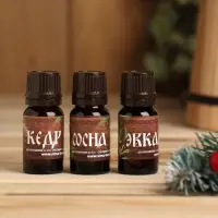 Новогодний набор эфирных масел &laquo;Хозяину бани!&raquo;, сосна, кедр, эвкалипт, 3 шт. по 10 мл