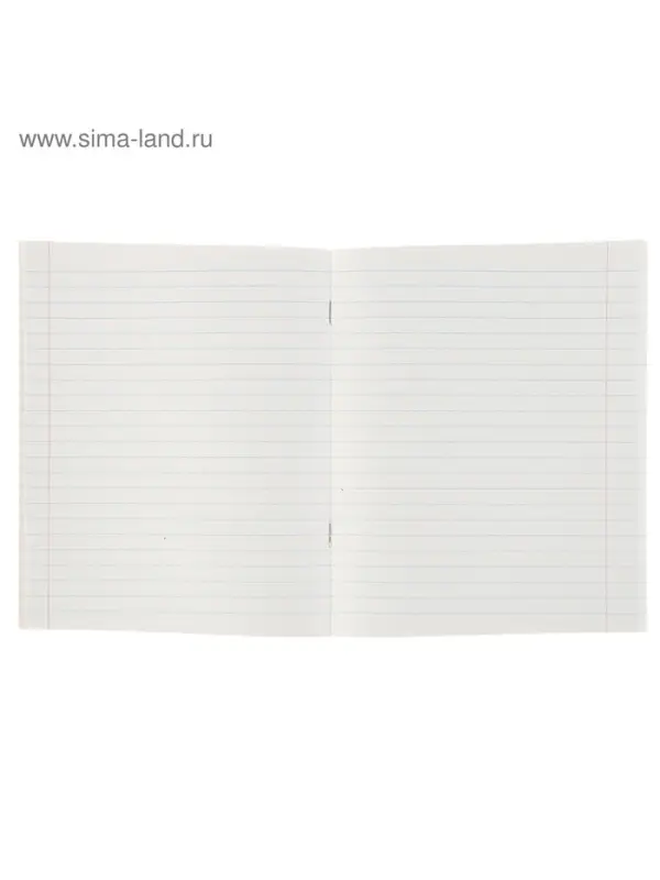 Тетрадь 48 листов в линейку Calligrata «Мегаполис», обложка мелованная бумага, блок №2, белизна 75% (серые листы), МИКС