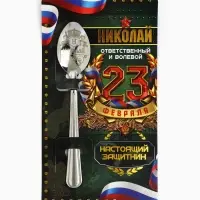 Ложка чайная именная &laquo;Николай&raquo;, 14&times;3 см