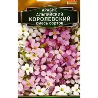 Семена цветов Арабис Королевский, смесь сортов Мн Золотая серия, Ц/П,0,1 г Семена цветов Арабис Королевский, смесь сортов Мн Золотая серия, Ц/П,0,1 г