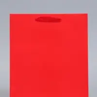 Пакет подарочный ламинированный, упаковка, &laquo;Красный&raquo;, ML 23&times;27&times;11.5 см