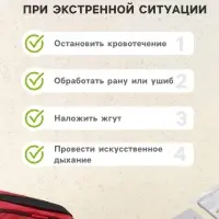 Аптечка для оказания первой помощи работникам ФЭСТ, сумка 0370/1, приказ а 262н