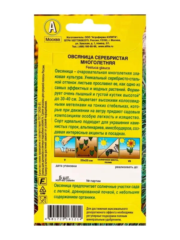 Семена цветов Овсяница Серебристая многолетняя Мн, Ц/П,5 шт.