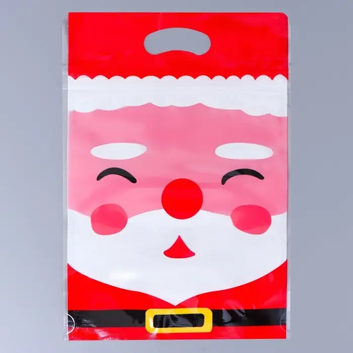 Пакет подарочный, с zip-lock застежкой,  Пакет подарочный, с zip-lock застежкой, "Дед Мороз", 15х23 ± 1см.