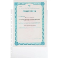 Файл-вкладыш А4 45 мкм Выбор есть Элементари, гладкий, с перф., 100шт/уп