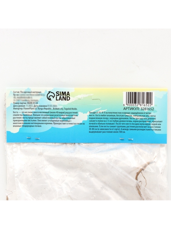 Хоста «Брим Кап», корневище в пакете с торфогрунтом, р-р I, 1 шт.