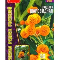 Семена цветов Буддлея Шаровидная   50шт. АКЦИЯ 12.28 г.