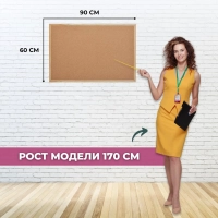 Доска пробковая 60х90 Attache деревянная рама