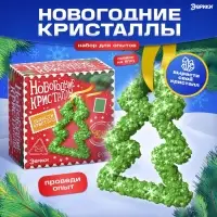 Выращивания кристаллов &laquo;Новогодняя елка&raquo;