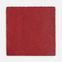 Лейбл кожаный Pasek, L, красный