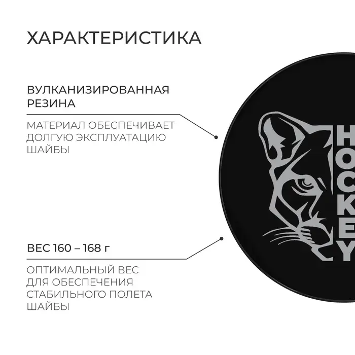 Шайба хоккейная Winter Star, взрослая, d=7.6 см