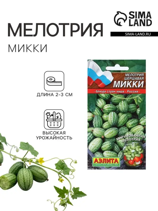 Семена Мелотрия (мышиная дыня) &laquo;Микки&raquo;, 0.03 г, &laquo;Аэлита&raquo;
