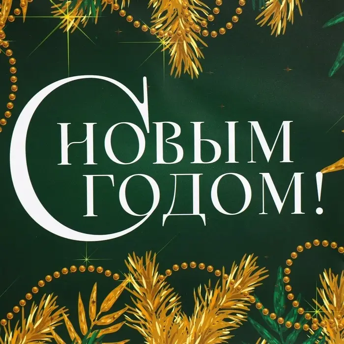 Пакет подарочный новогодний ламинированный «Изумруд», MS 23 х 18 х 8 см