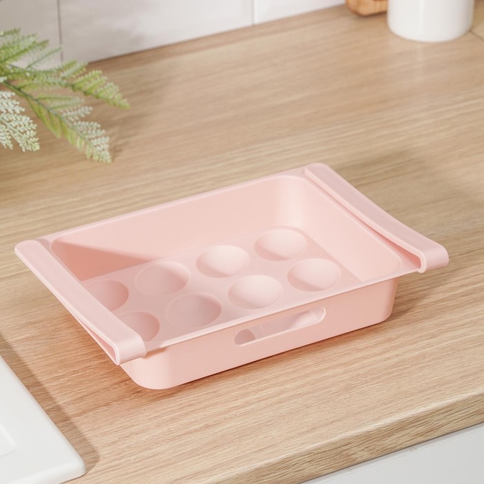 Полка для яиц в холодильник, подвесная, 12 ячеек, 26×17×5 см, МИКС