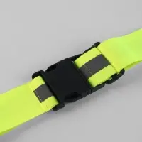 Пояс светоотражающий, эластичный, с фастексом, 57 - 101 см &times; 4.5 см, зелёный
