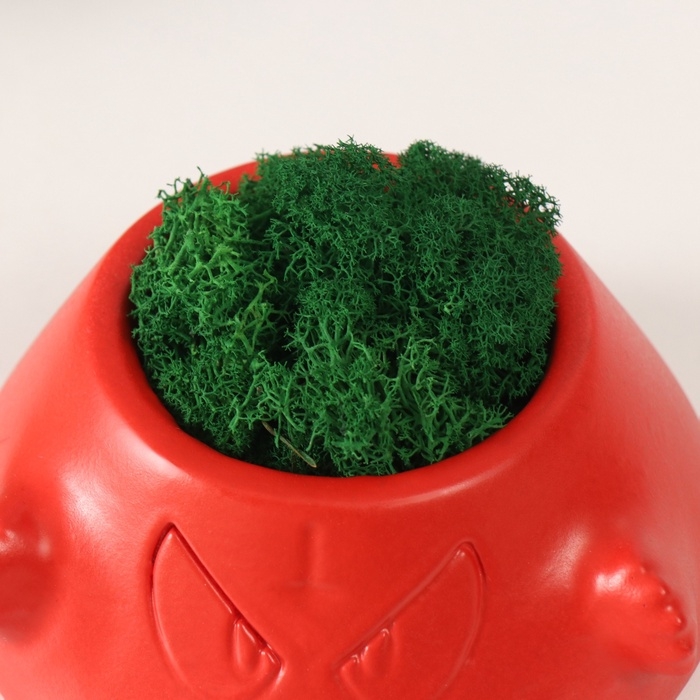 Кашпо бетонное  Кашпо бетонное "Злобный смех" со мхом 6,5*12,5см красный (мох зеленый стабилизированный)