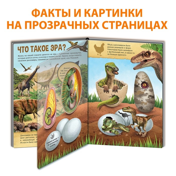 Книга с прозрачными страницами «Эра динозавров», 30 стр. Книга с прозрачными страницами «Эра динозавров», 30 стр.