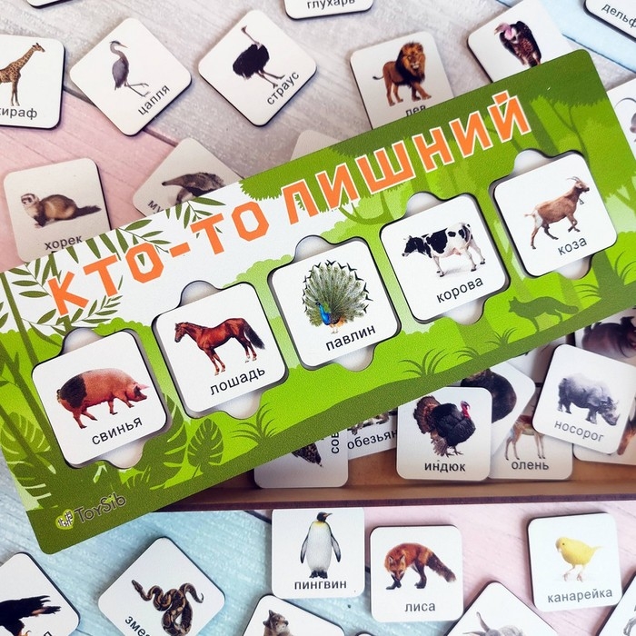 Игра на логику «Кто-то лишний» Игра на логику «Кто-то лишний»