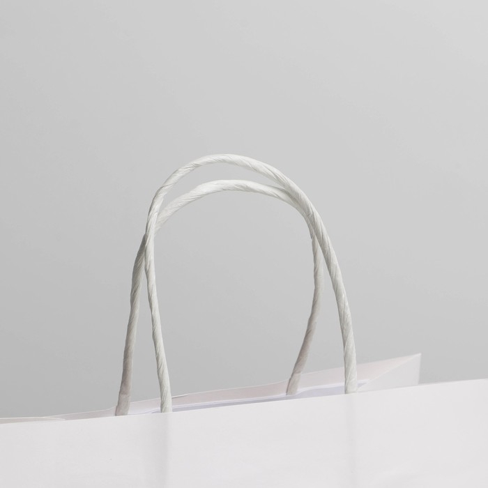 Пакет подарочный, упаковка, «Пирожочек», 22 х 22 х 11 см Пакет подарочный, упаковка, «Пирожочек», 22 х 22 х 11 см