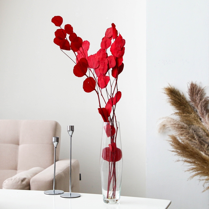 Сухоцвет персикого дерева, 50 г, длина — 70 см, цвет красный Сухоцвет персикого дерева, 50 г, длина — 70 см, цвет красный