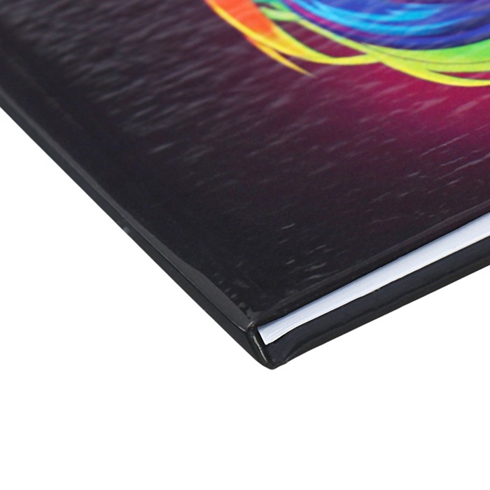 Дневник для 1-4 классов Дневник для 1-4 классов "Аниме. Девочка", твёрдая обложка, глянцевая ламинация, 48 листов