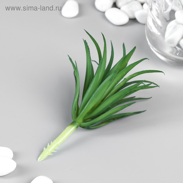 Искусственный суккулент для создания флорариума Искусственный суккулент для создания флорариума "Гастерия трехгранная" 7 см