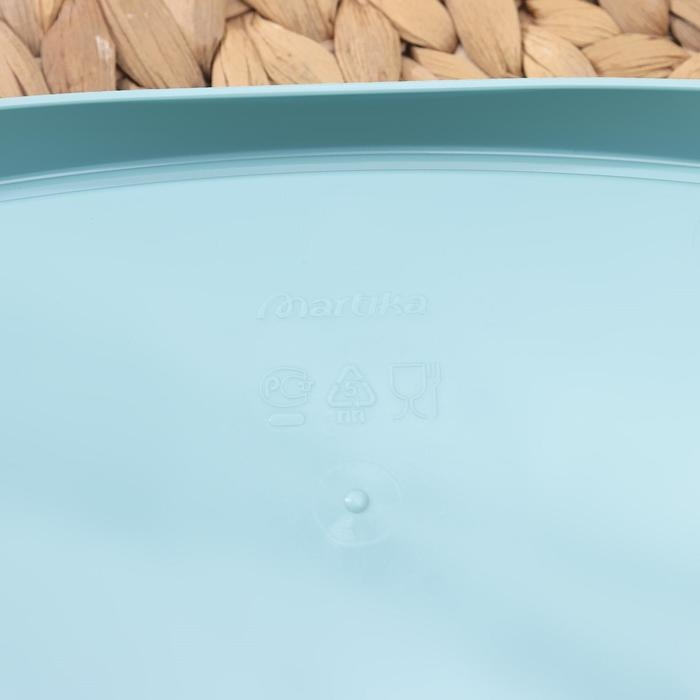 Маслёнка «Таира», пластиковая, 16,5×12 см, цвет бирюзовый Маслёнка «Таира», пластиковая, 16,5×12 см, цвет бирюзовый