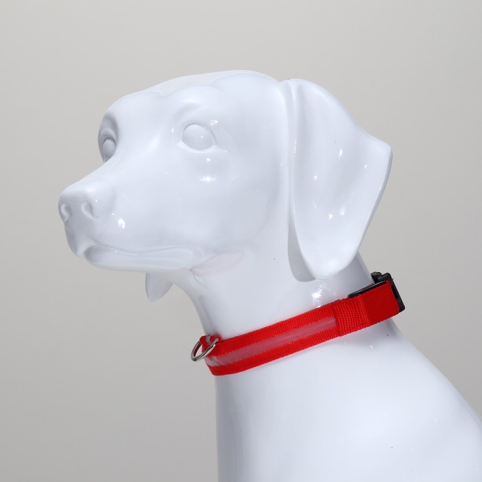 Ошейник с подсветкой размер М, ОШ 40-48 х 2,5 см, 3 режима свечения красный Ошейник с подсветкой размер М, ОШ 40-48 х 2,5 см, 3 режима свечения красный