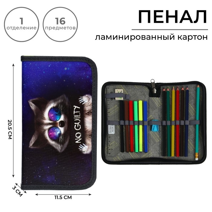 Пенал 1 секция, 115 х 205 мм, с наполнением 16 предметов, Calligrata Пенал 1 секция, 115 х 205 мм, с наполнением 16 предметов, Calligrata "Енот" ламинированный картон, 30П26/set