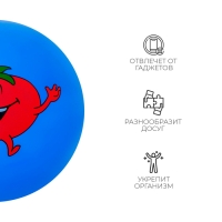 Мяч детский «Ассорти», d=22 см, цвет МИКС