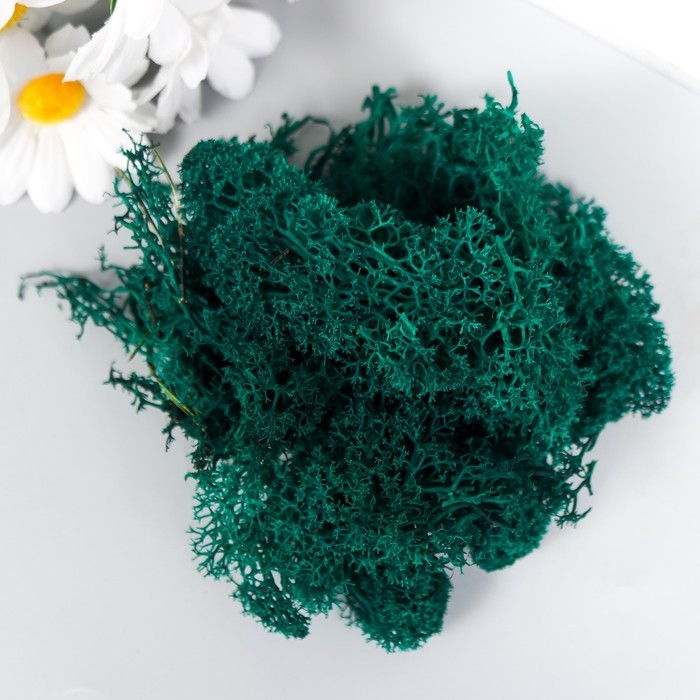 Мох стабилизированный Мох стабилизированный "Морская волна" МИКС 45 гр (+-5 гр)