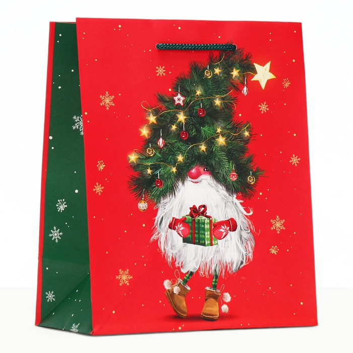Новый год. Пакет подарочный Новый год. Пакет подарочный "Маленький гном", 18 х 22,3 х 10 см.