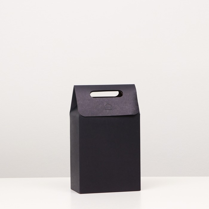 Коробка-пакет с ручкой, 27 х 16 х 9 см Коробка-пакет с ручкой, 27 х 16 х 9 см