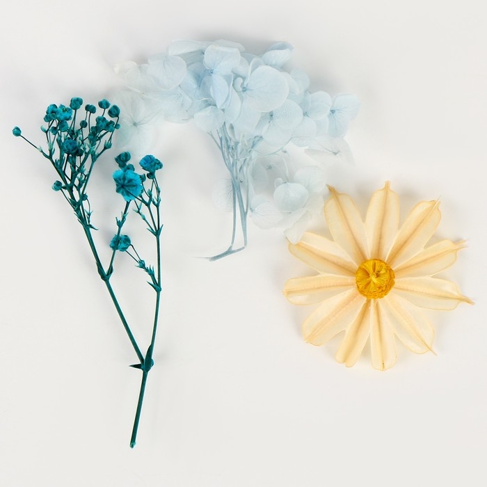 Набор сухоцветов «Лето на побережье» Набор сухоцветов «Лето на побережье»