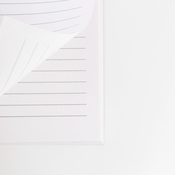 Ежедневник в тонкой обложке А5, 80 л. «С 23 Февраля» Ежедневник в тонкой обложке А5, 80 л. «С 23 Февраля»