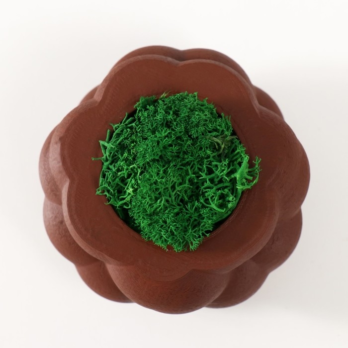 Кашпо бетонное Кашпо бетонное "Пузырьки" со мхом коричневый 8х8х5см (мох зеленый стабилизированный)