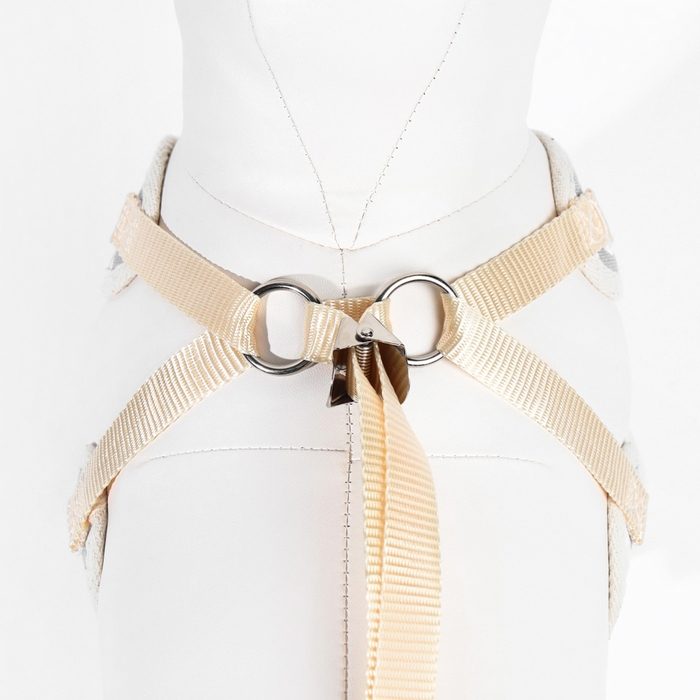 Комплект с мягкой шлейкой  Комплект с мягкой шлейкой "Горох", размер L, поводок 120 х 1,5 см, ОГ 42-76 см, серый