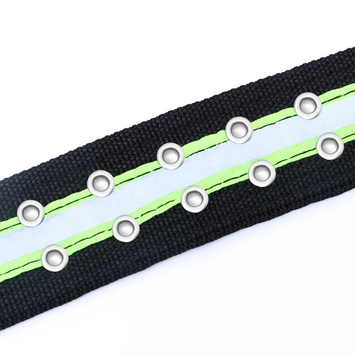 Ошейник четырехслойный светоотражающий с вертлюгом, 71 х 5 см, ОШ 55-65 см, чёрный Ошейник четырехслойный светоотражающий с вертлюгом, 71 х 5 см, ОШ 55-65 см, чёрный