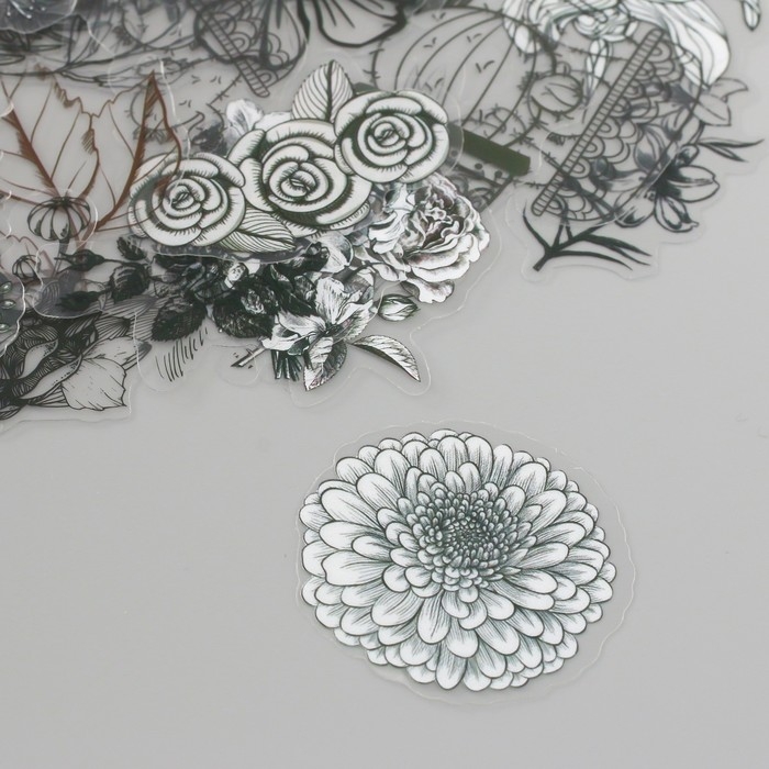 Наклейки для творчества пластик PVC Наклейки для творчества пластик PVC "Эскизы растений" набор 60 шт 10х14 см