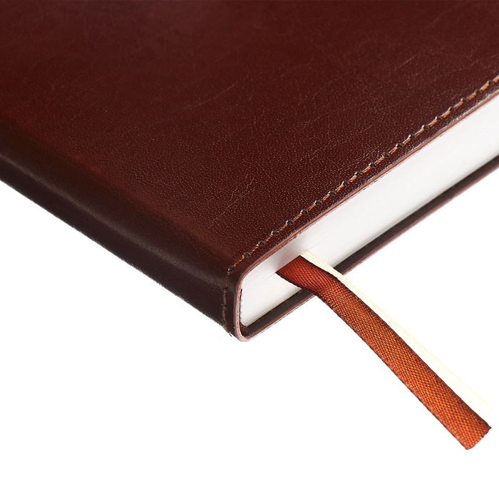 Ежедневник датированный 2025, A5 168 листов, deVENTE. Saltos, мягкая обложка кожзам, перфорация, ляссе, блок 70, коричневый Ежедневник датированный 2025, A5 168 листов, deVENTE. Saltos, мягкая обложка кожзам, перфорация, ляссе, блок 70, коричневый