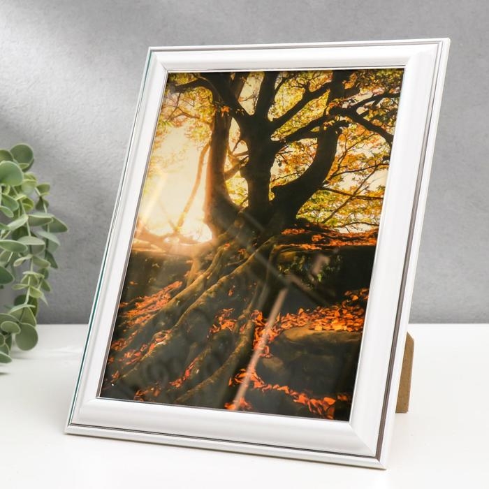 Фоторамка 15х20 281S белая с серебром (пластиковый экран) Фоторамка 15х20 281S белая с серебром (пластиковый экран)