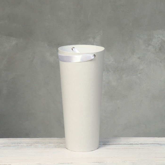 Переноска конус под цветы, белый 10 х 14 х 30 см Переноска конус под цветы, белый 10 х 14 х 30 см