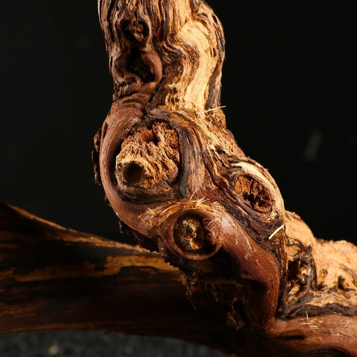 Коряга для аквариума  Коряга для аквариума "Лоза виноградная", 50 - 60 см