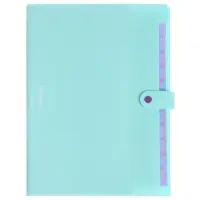 Папка А4 Haze, 12 отделений, 600 мкм, на кнопке, мятная